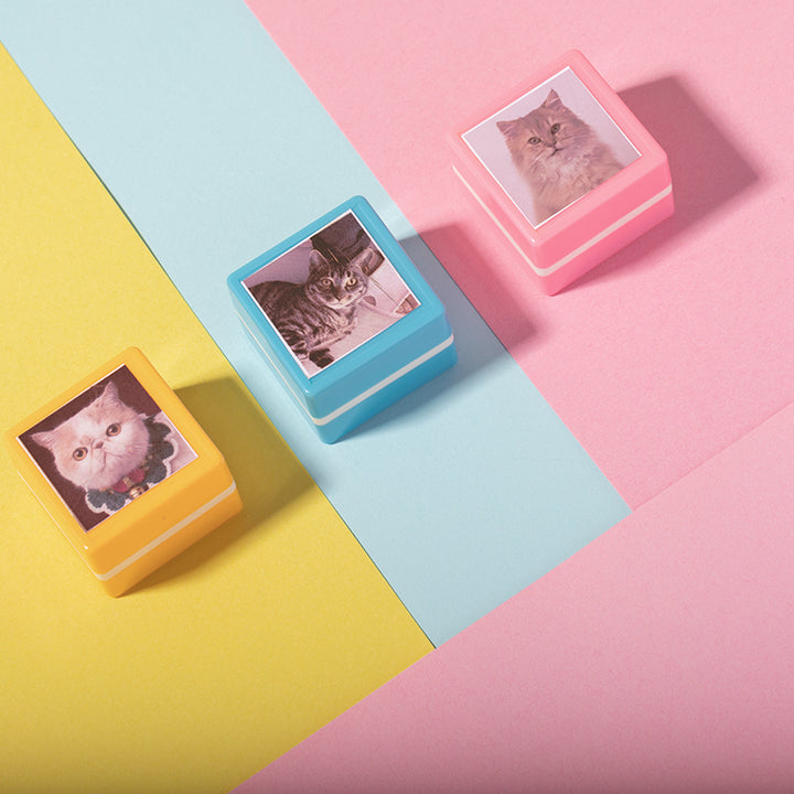 Custom Cat Portrait Stamp